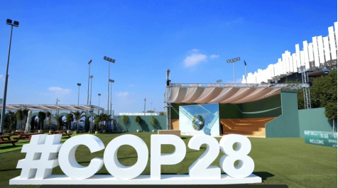 碳促会走进COP28